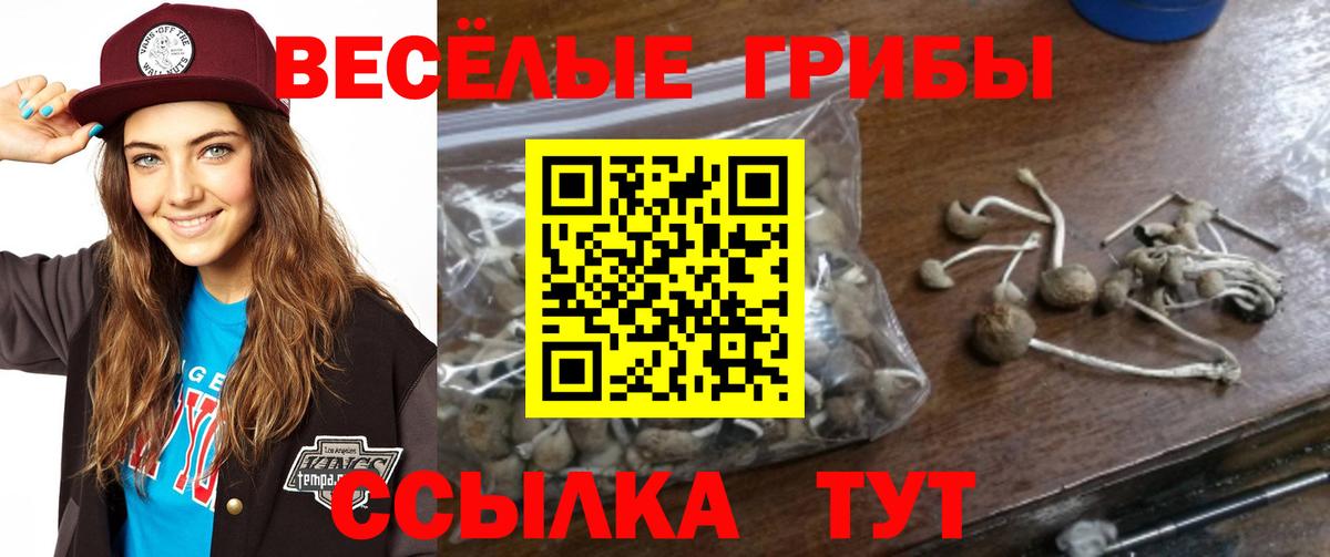 Псилоцибиновые грибы ЛСД  Вход с VPN  Котельники 